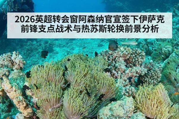 2026英超转会窗阿森纳官宣签下伊萨克前锋支点战术与热苏斯轮换前景分析