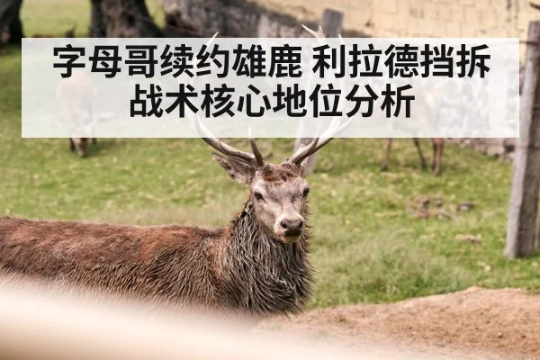 字母哥续约雄鹿 利拉德挡拆战术核心地位分析